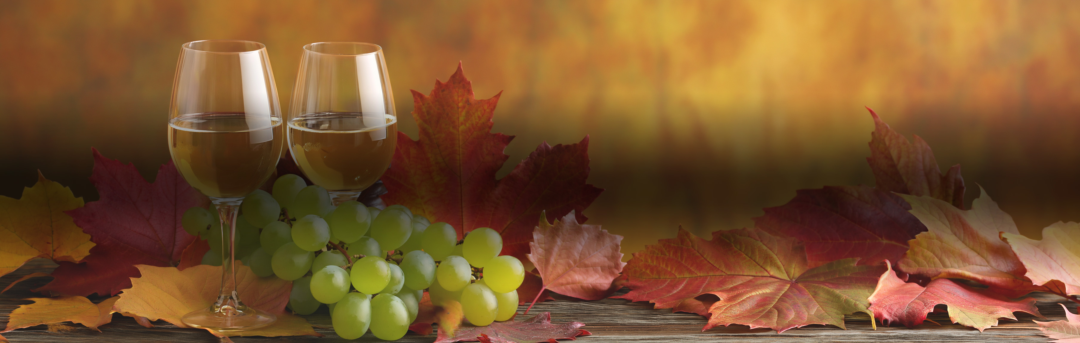 Zwei mit Weißwein gefüllte Weingläser neben einer Traube und herbstlichen Blättern auf einem Holztisch