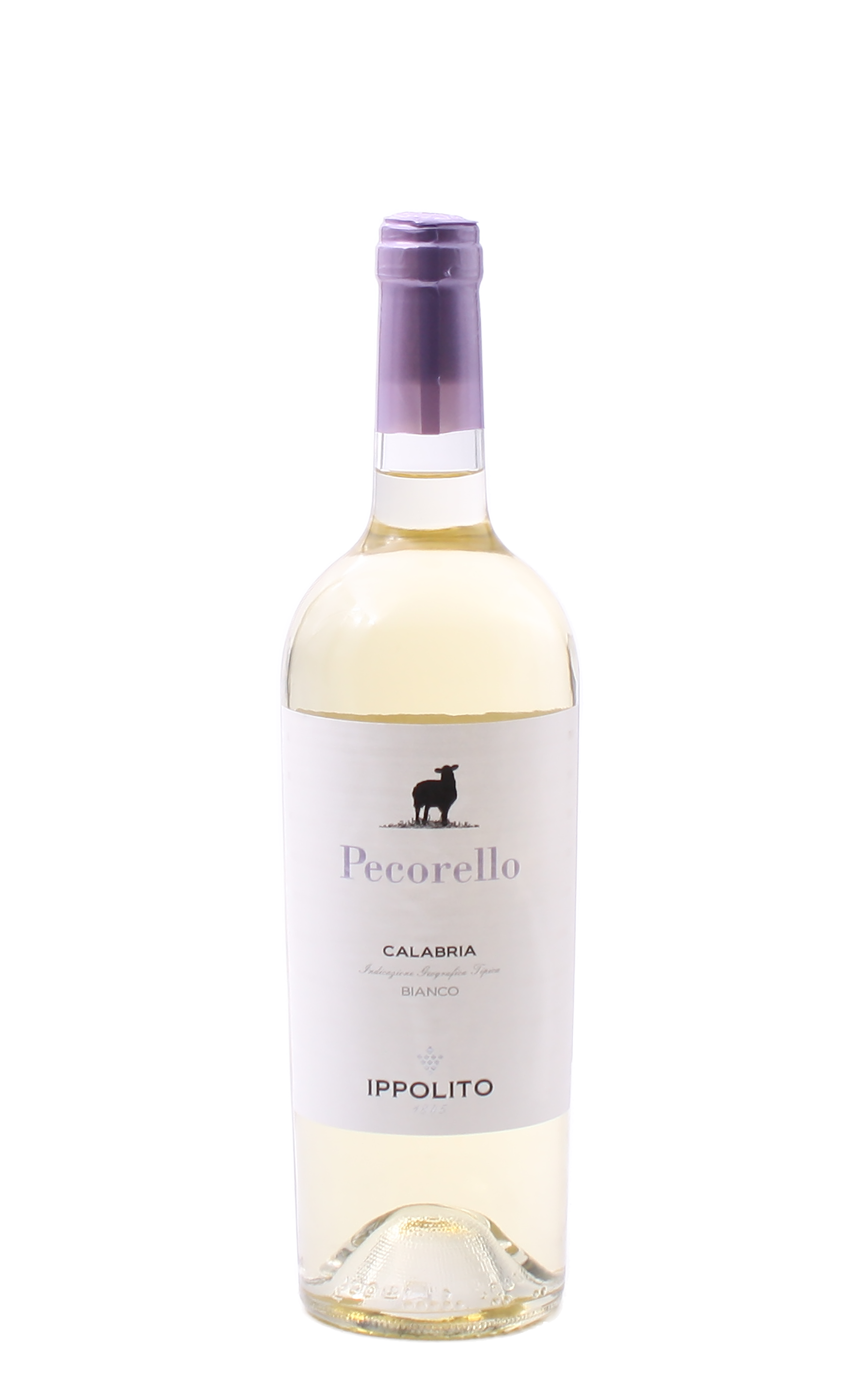 6er-Sparpaket Ippolito 1845 Pecorello IGT 2024