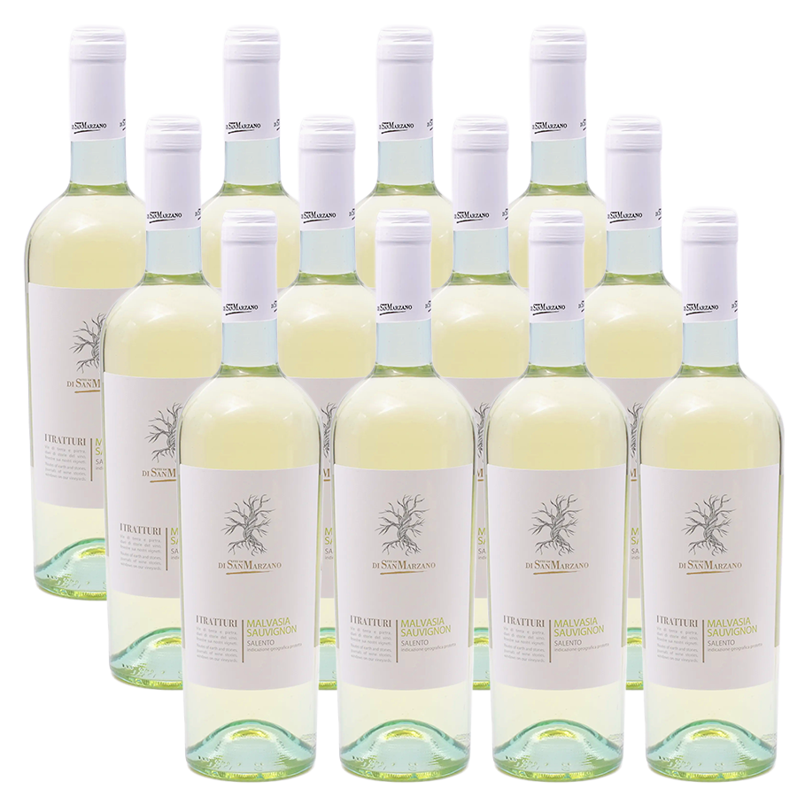 12er-Sparpaket San Marzano Bianco Salento i Tratturi IGP 2024